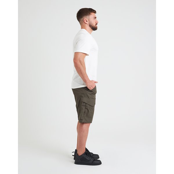 bermuda veteran verde invictus 3